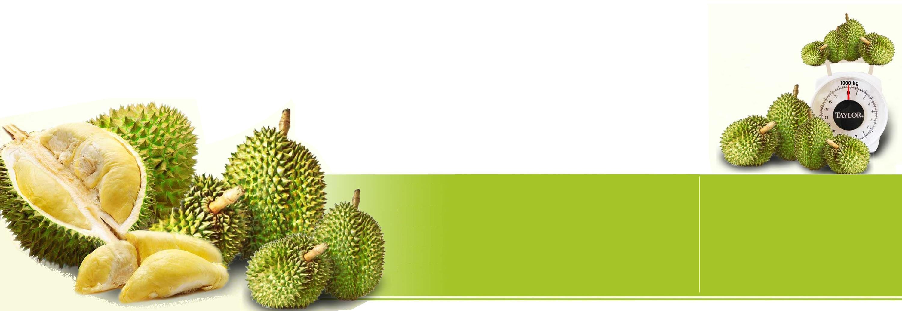 durian king